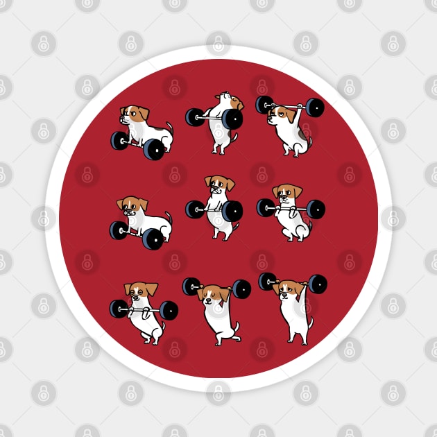 OLYMPIC LIFTING  Jack Russell Terrier Magnet by huebucket